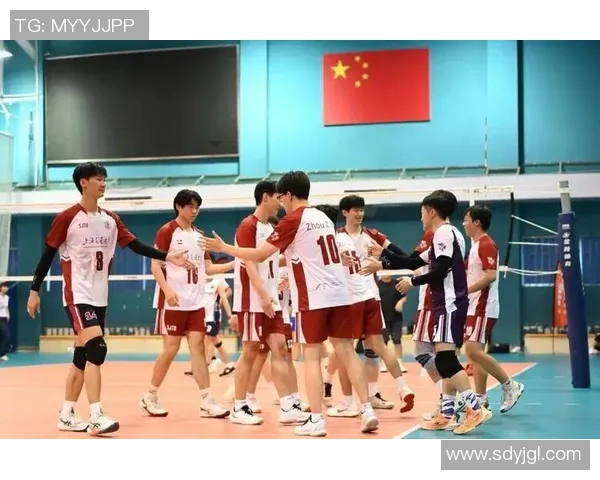 上海排球队的拼搏之路：城市联赛背后的故事与荣耀