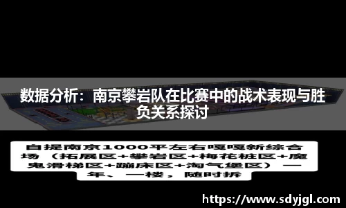 数据分析：南京攀岩队在比赛中的战术表现与胜负关系探讨