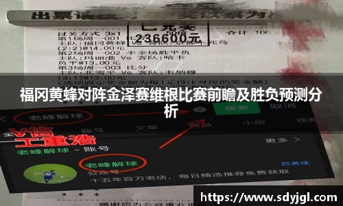 福冈黄蜂对阵金泽赛维根比赛前瞻及胜负预测分析